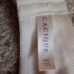 Cacique Intimates & Sleepwear - Cacique cotton plunge 42D w/ padding Cacique Intimates & Sleepwear - Cacique cotton plunge 42D w/ padding